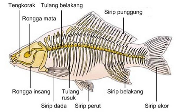 Soal Tema 1 Kelas 5 SD 